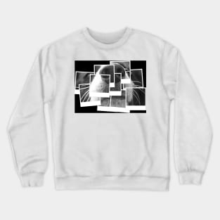 Border Collie Dogs Nose Crewneck Sweatshirt